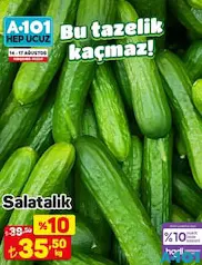 SALATALIK KG fiyat ve kampanya bilgisi
